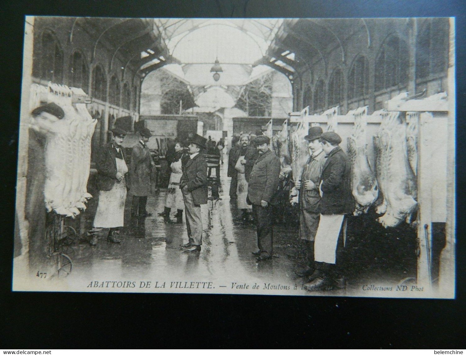 ABATTOIRS DE LA VILLETTE                    VENTE DE MOUTONS - Paris (19)