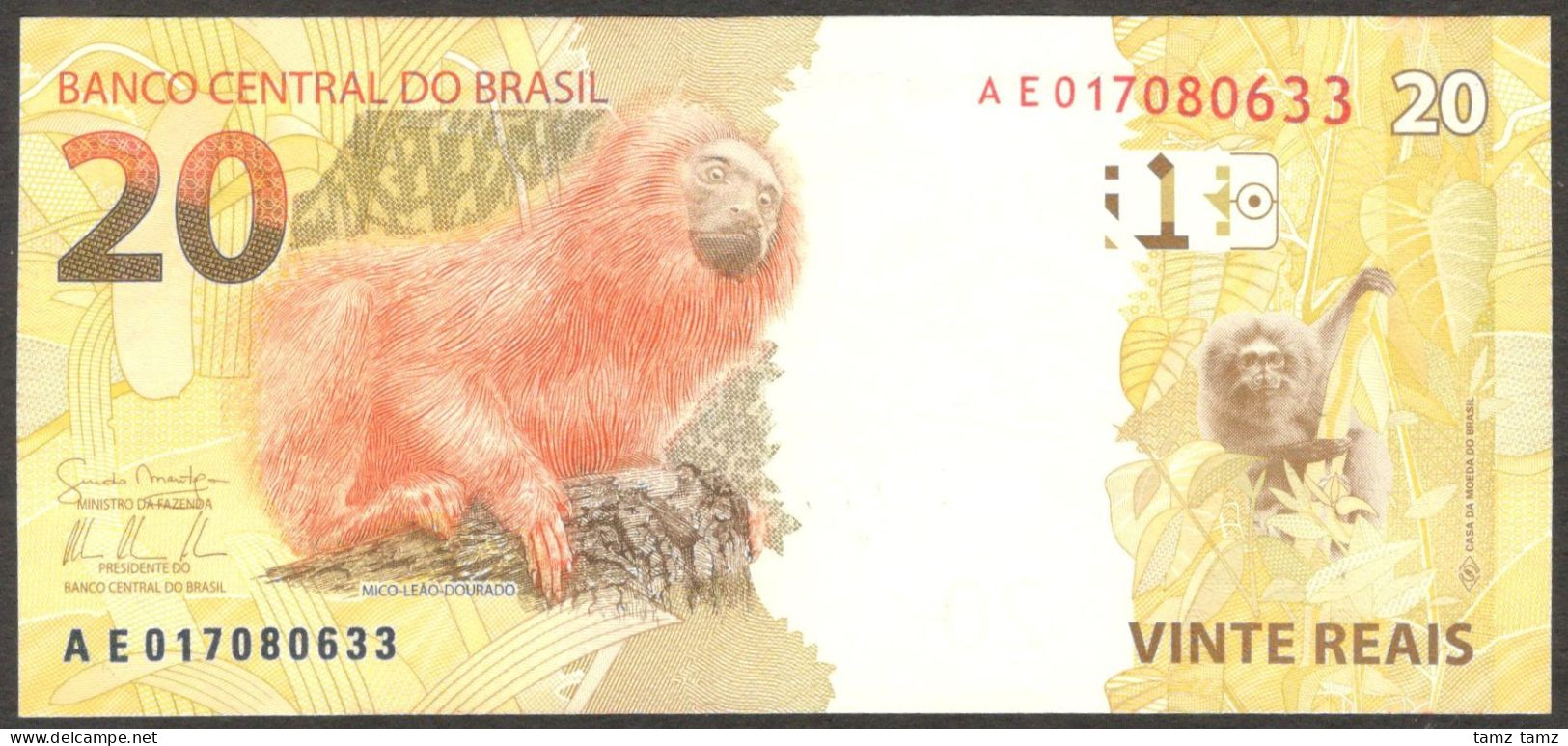 Brazil 20 Reais Golden Tamarin P-255 2010 UNC - Brésil