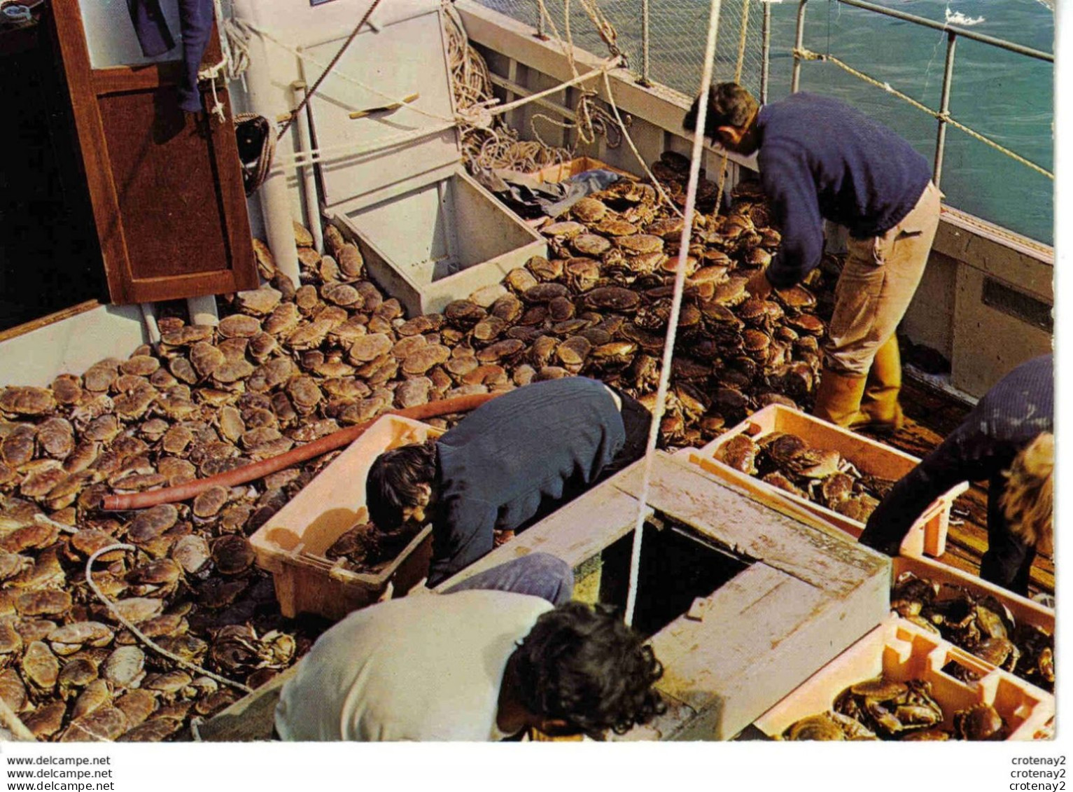 Retour De Pêche Aux Crustacés VOIR DOS Tourteaux Pêcheurs Couleurs De Bretagne N°1534 - Visvangst