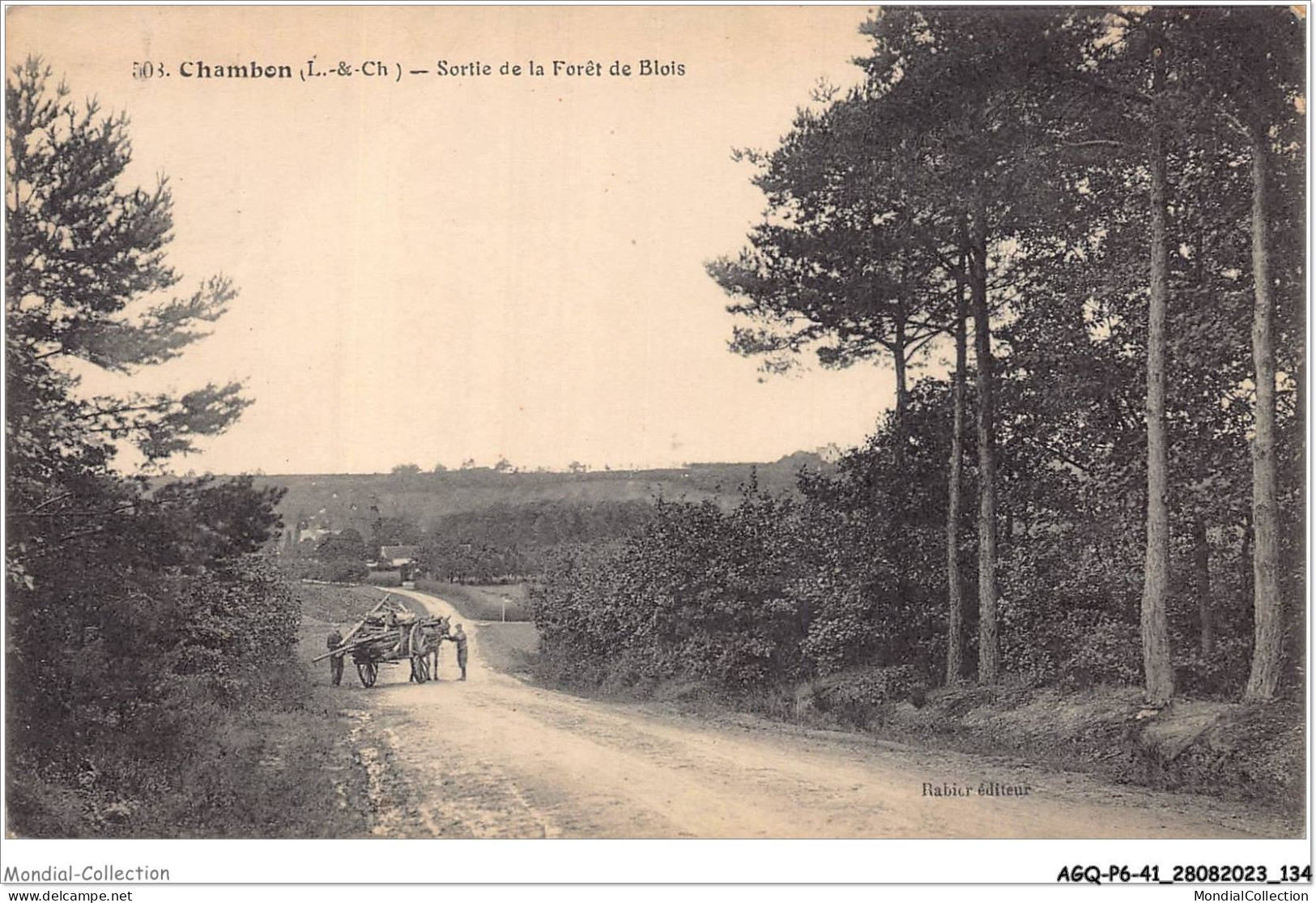 AGQP6-0452-41 - CHAMBON - Sortie De La Foret De Blois - Blois