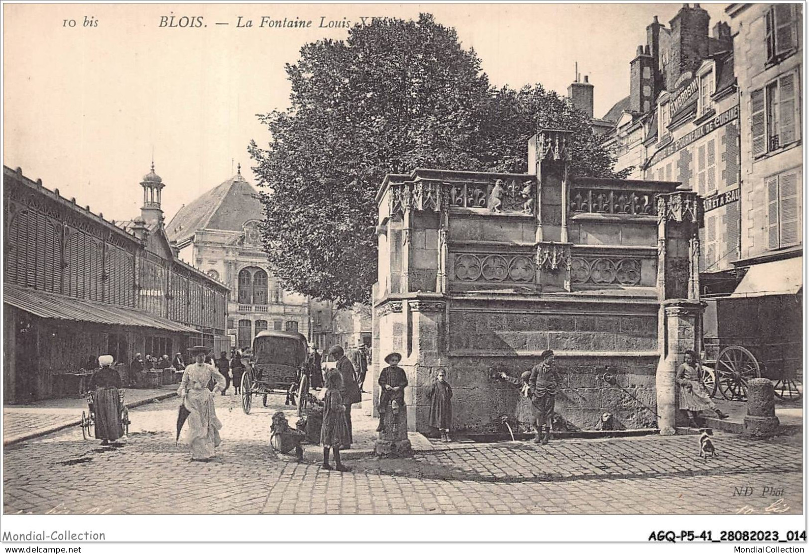 AGQP5-0321-41 - BLOIS - La Fontaine Louis XII - Blois