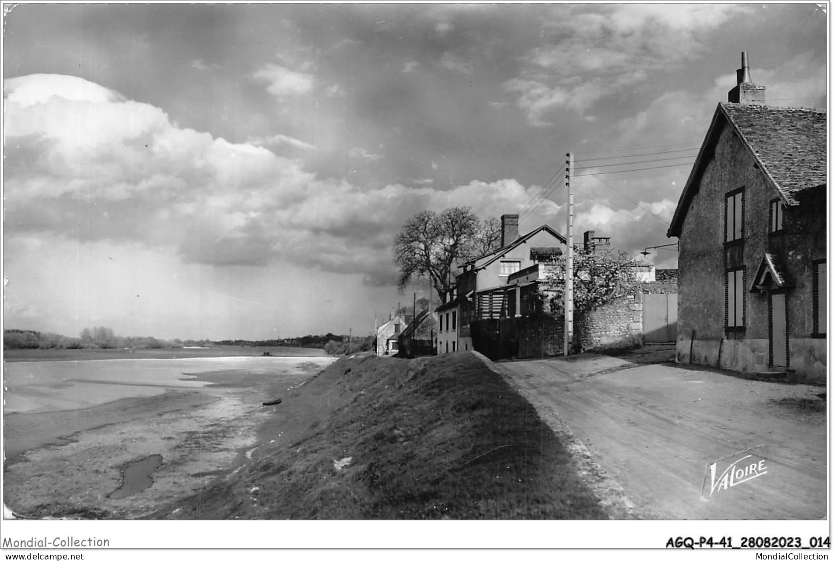 AGQP4-0258-41 - SAINT-DYE-SUR-LOIRE - Au Bord De La Loire - Blois