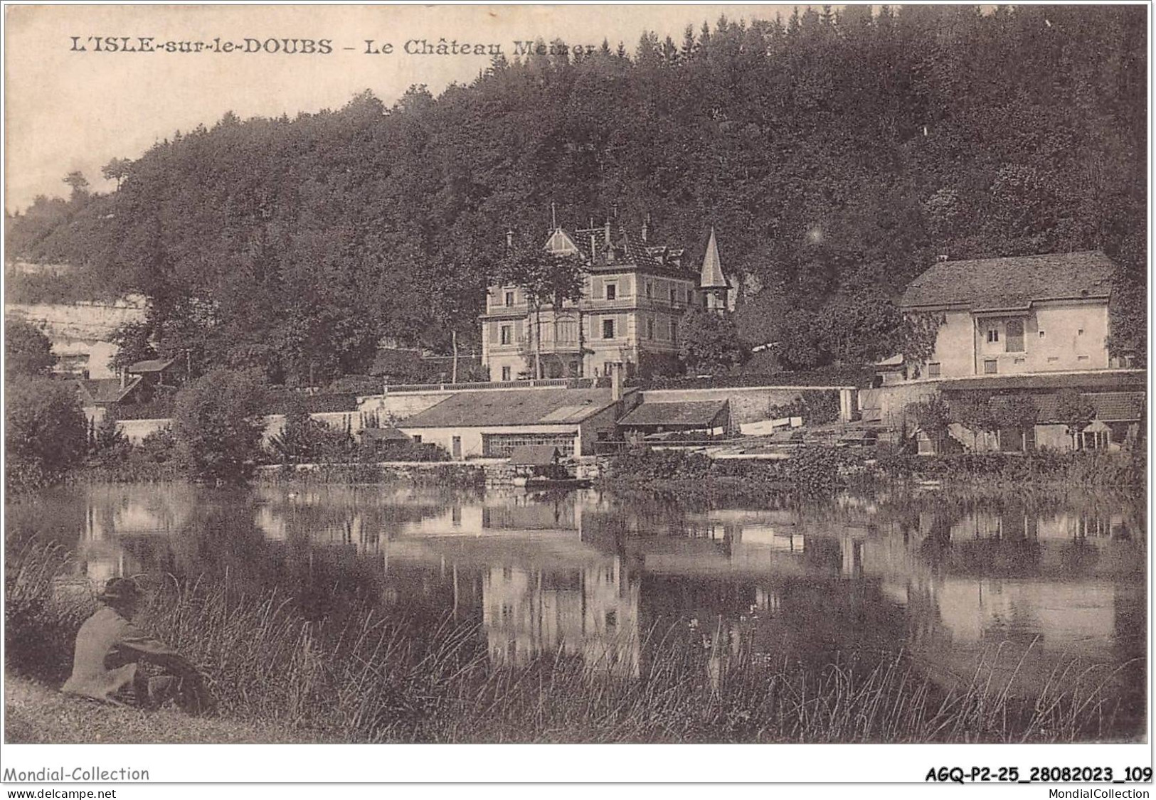 AGQP2-0129-25 - L'ISLE-SUR-LE-DOUBS - Le Chateau Meiner - Isle Sur Le Doubs