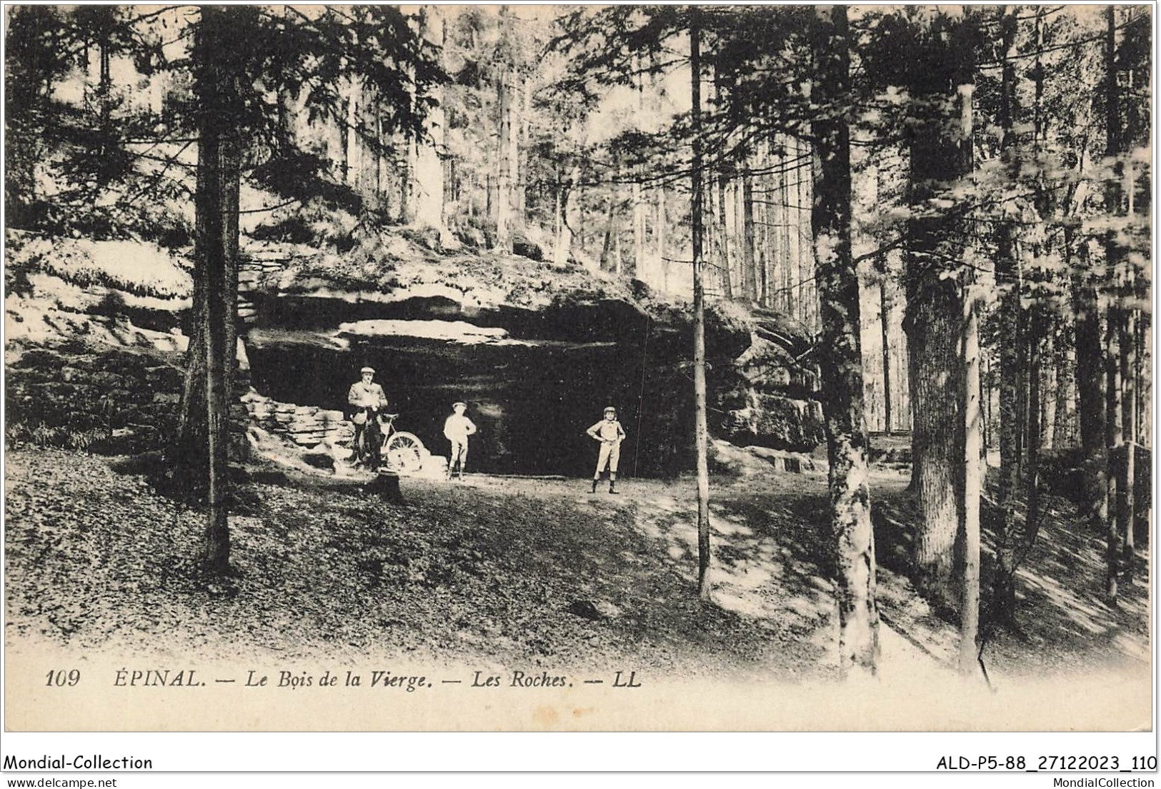 ALDP5-88-0456 - EPINAL - Le Bois De La Vierge - Les Roches - Epinal