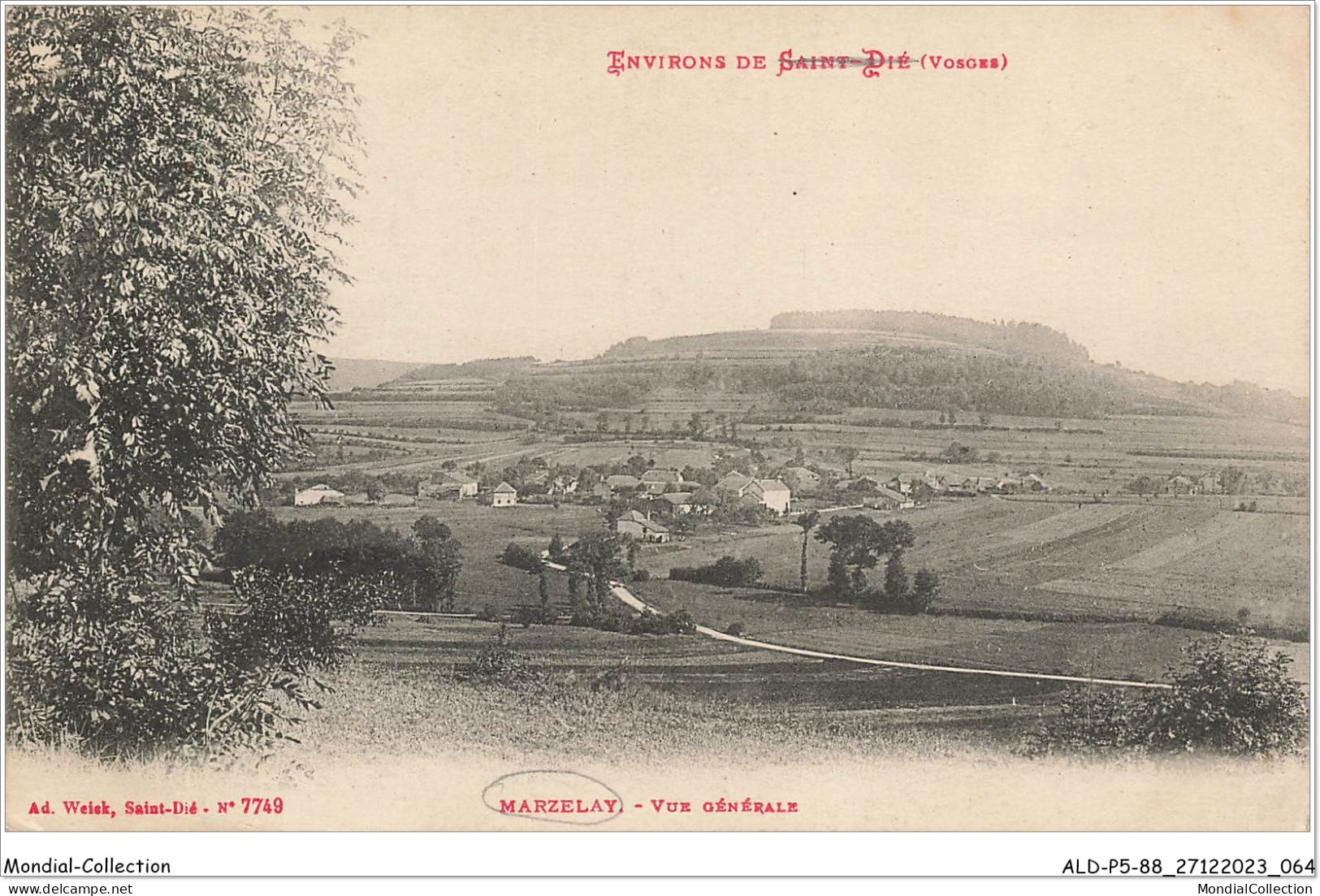 ALDP5-88-0433 - ENVIRONS DE SAINT-DIE - MARZELAY - Vue Générale - Saint Die