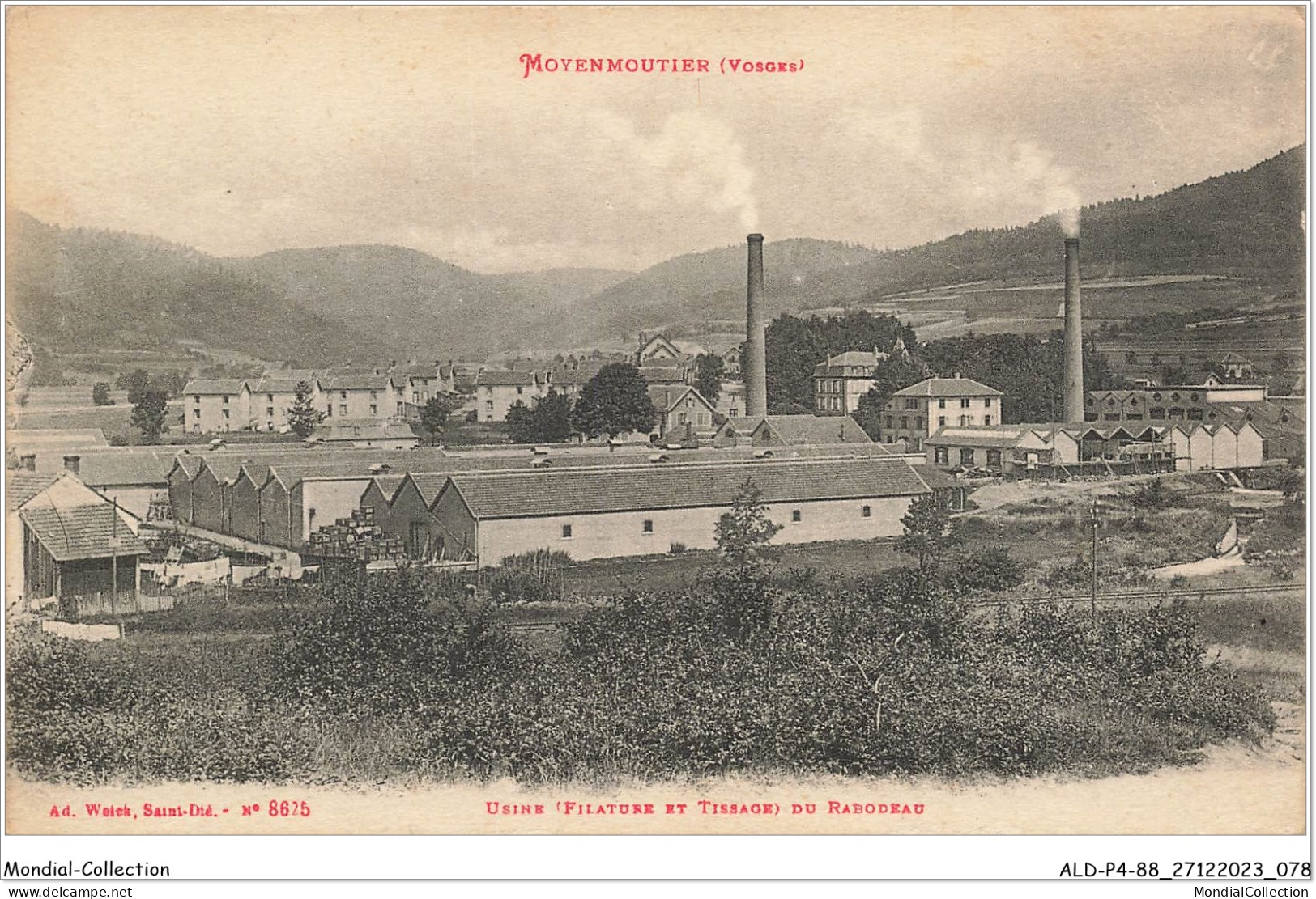 ALDP4-88-0340 - MOYENMOUTIER - Usine Du Rabodeau - Saint Die