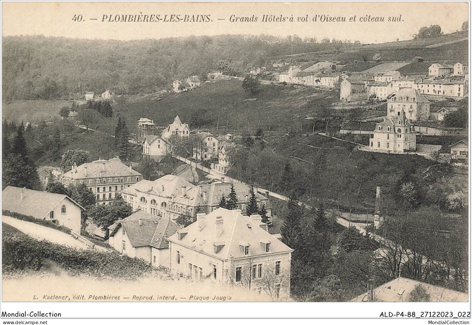 ALDP4-88-0312 - PLOMBIERES-LES-BAINS - Grands Hôtels à Vol D'oiseau Et Côteau Sud - Plombieres Les Bains