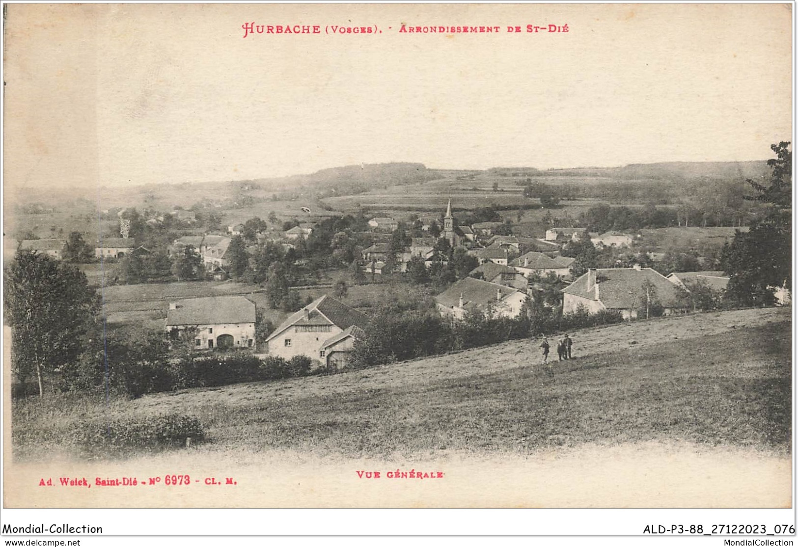 ALDP3-88-0239 - HURBACHE - Arrondissement De Saint-dié - Vue Générale - Saint Die