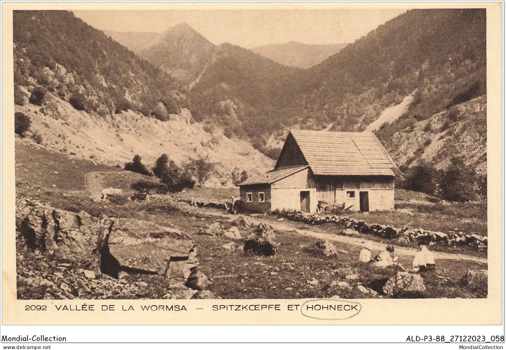 ALDP3-88-0230 - HOHNECK - Vallée De La Wormsa - Spitzkoeppe Et Hohneck - Epinal