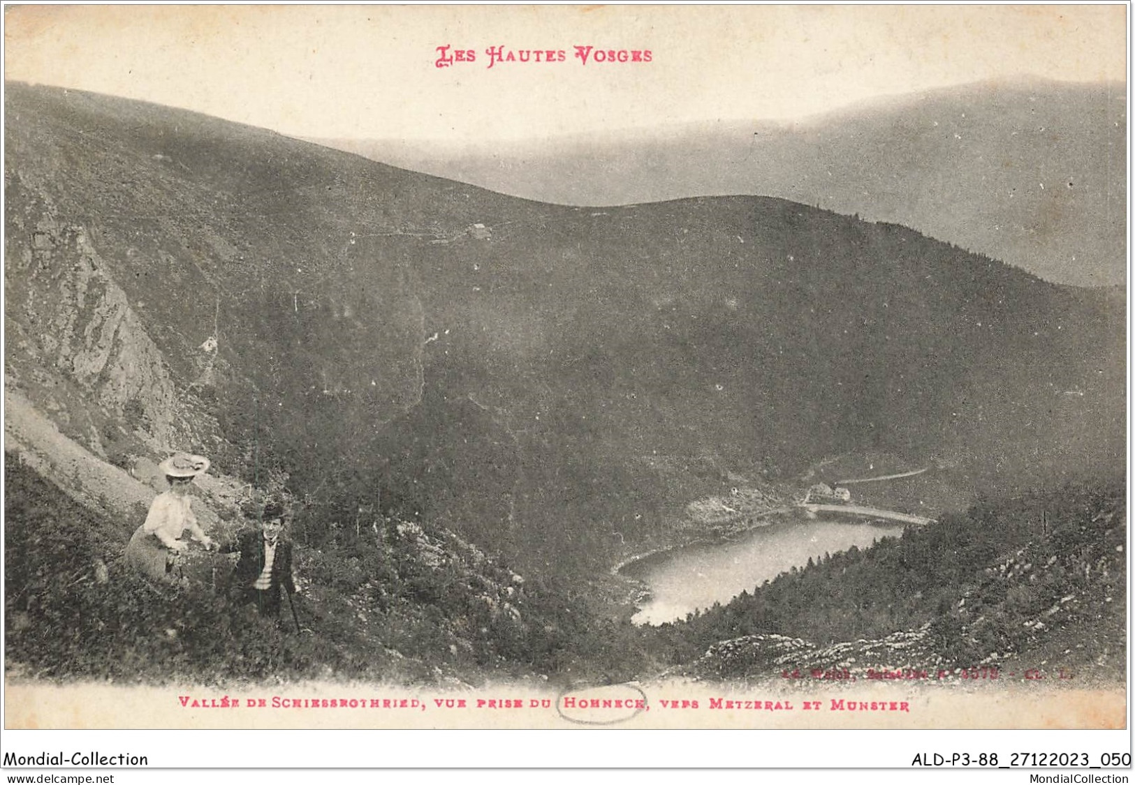 ALDP3-88-0226 - HOHNECK - Vallée De Schiessrothried - Vue Prise Du Hohneck Vers Metzeral Et Munster - Epinal