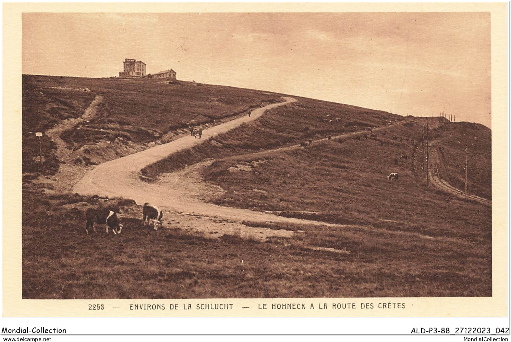 ALDP3-88-0222 - ENVIRONS DE LA SCHLUCHT - LE HOHNECK à La Route Des Crêtes - Epinal