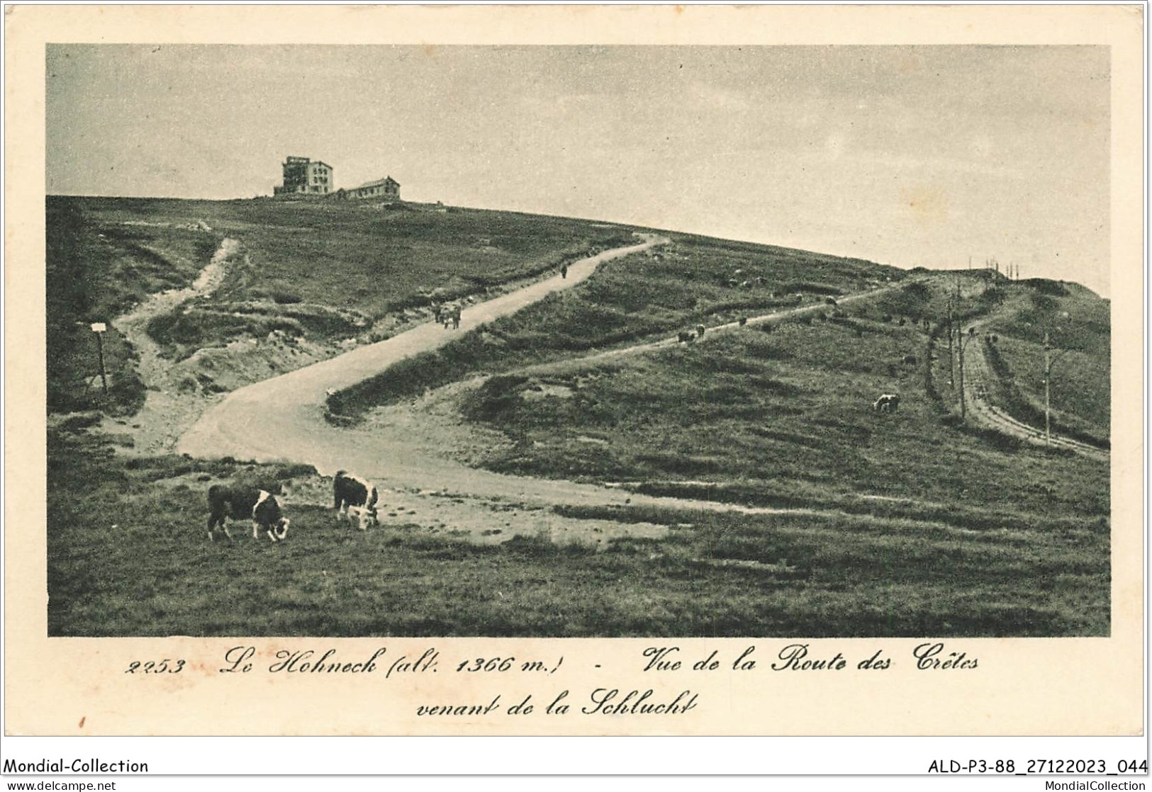 ALDP3-88-0223 - Le Hohneck - Vue De La Route Des Crêtes Venant De LA SCHLUCHT - Epinal