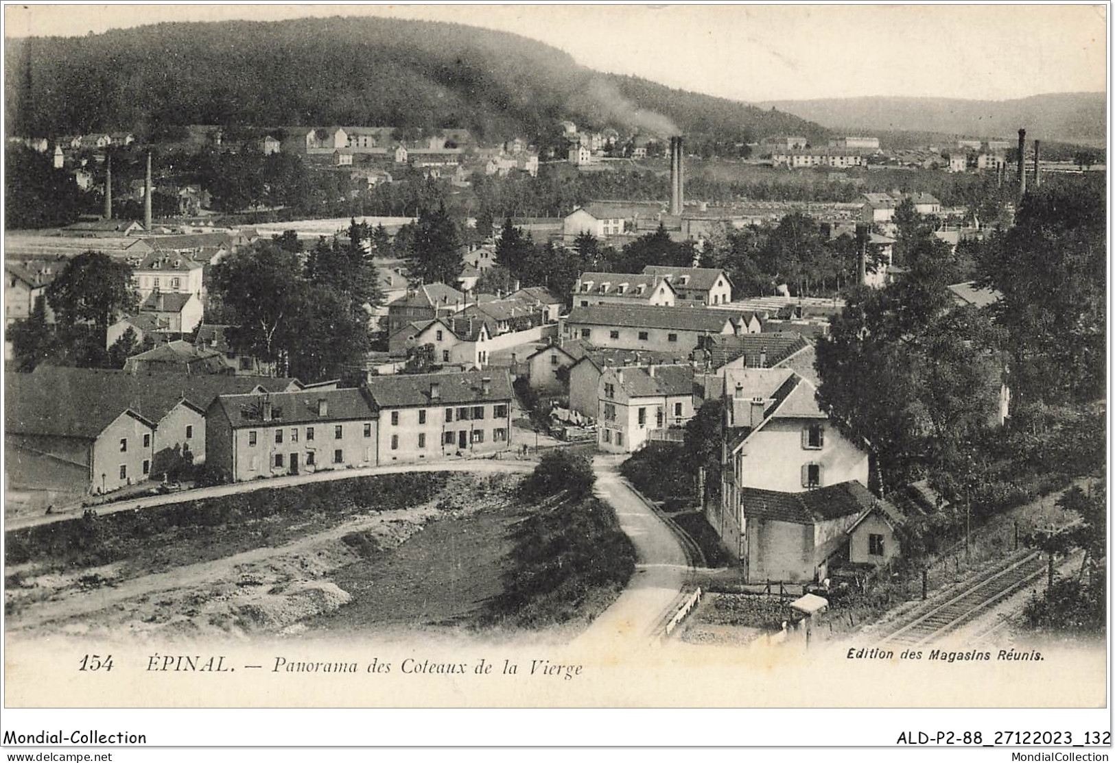 ALDP2-88-0167 - EPINAL - Panorama Des Coteaux De La Vierge - Epinal