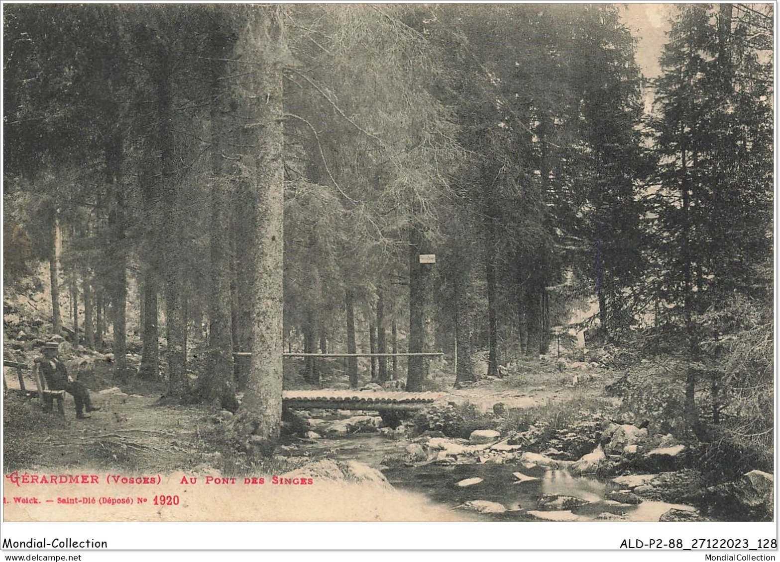 ALDP2-88-0165 - GERARDMER - Au Pont Des Singes - Gerardmer