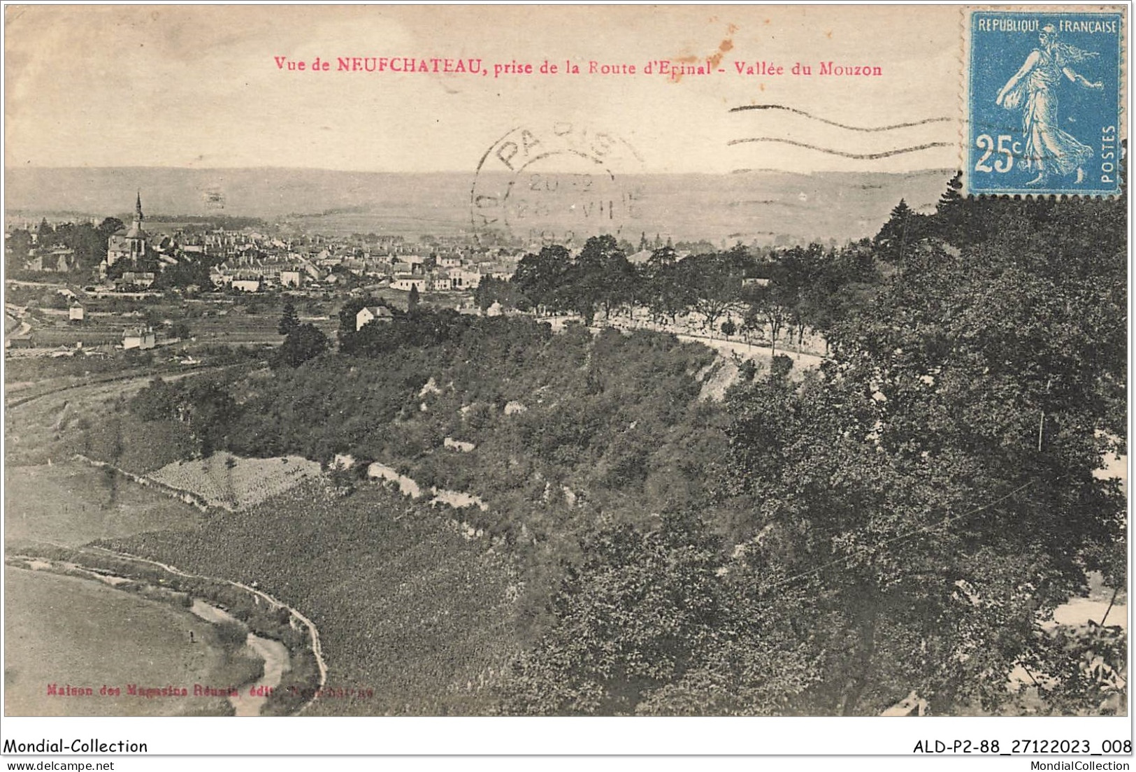 ALDP2-88-0105 - Vue De NEUFCHATEAU - Prise De La Route D'épinal - Vallée Du Mouzon - Neufchateau