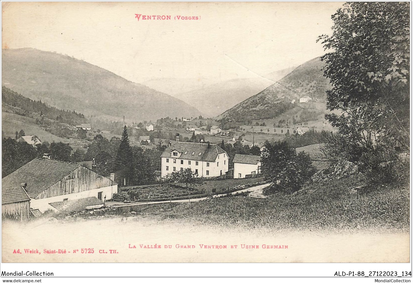 ALDP1-88-0068 - VENTRON - La Vallée Du Grand Ventron Et Usine Germain - Epinal