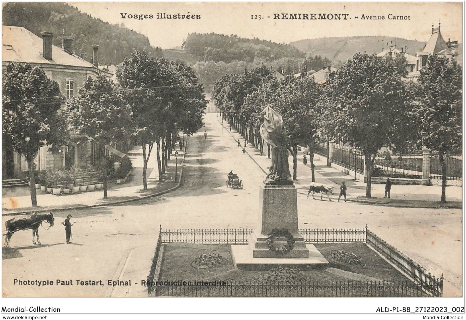 ALDP1-88-0002 - REMIREMONT - Avenue Carnot - Remiremont