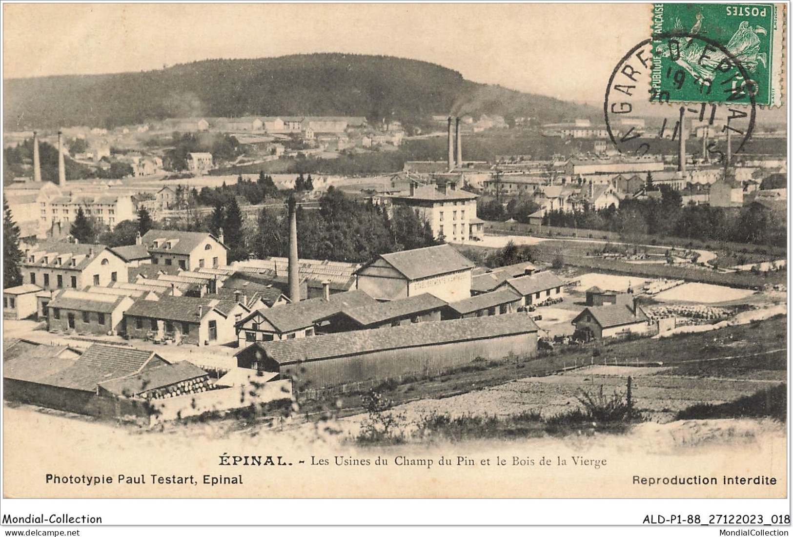 ALDP1-88-0010 - EPINAL - Les Usines Du Champ Du Pin Et Le Bois De La Vierge - Epinal