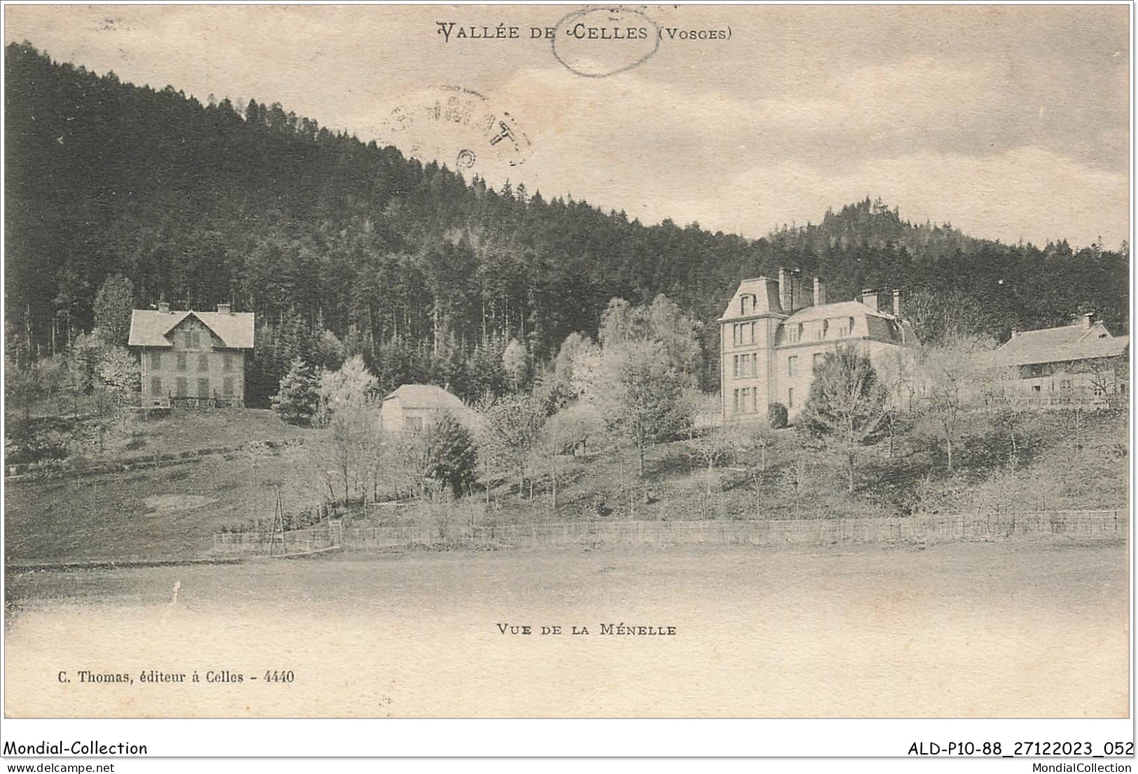 ALDP10-88-0927 - Vallée De CELLES - Vue De La Ménelle - Saint Die