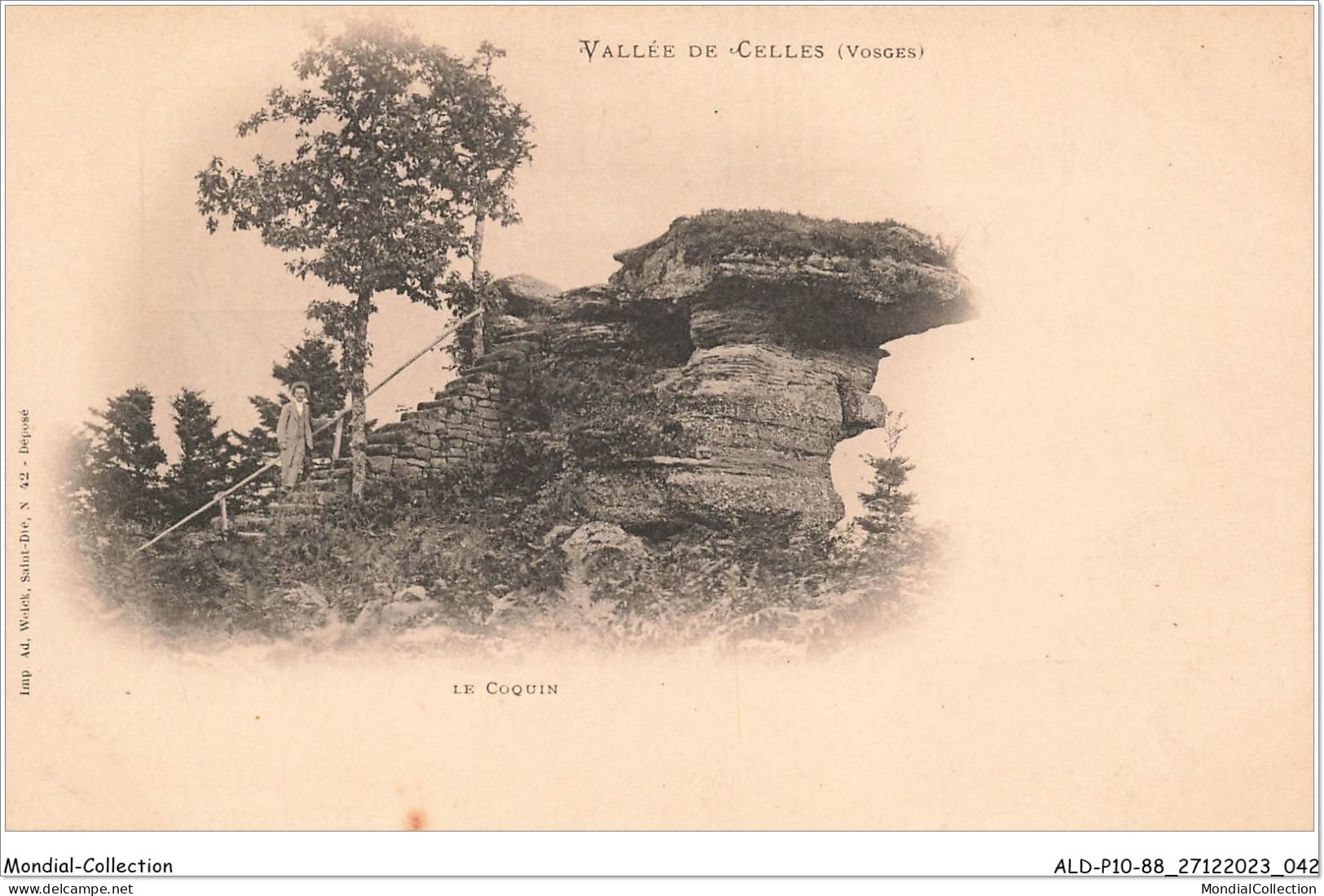 ALDP10-88-0922 - Vallée De CELLES - Le Coquin - Saint Die