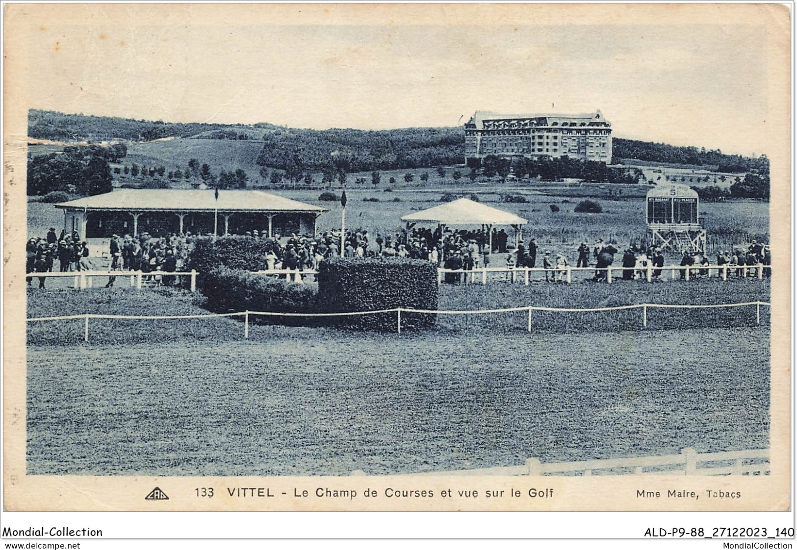 ALDP9-88-0871 - VITTEL - Le Champ De Courses Et Vue Sur Le Golf - Contrexeville