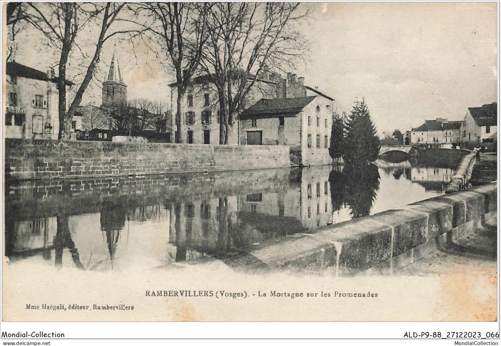 ALDP9-88-0834 - RAMBERVILLERS - La Mortagne Sur Les Promenades - Rambervillers