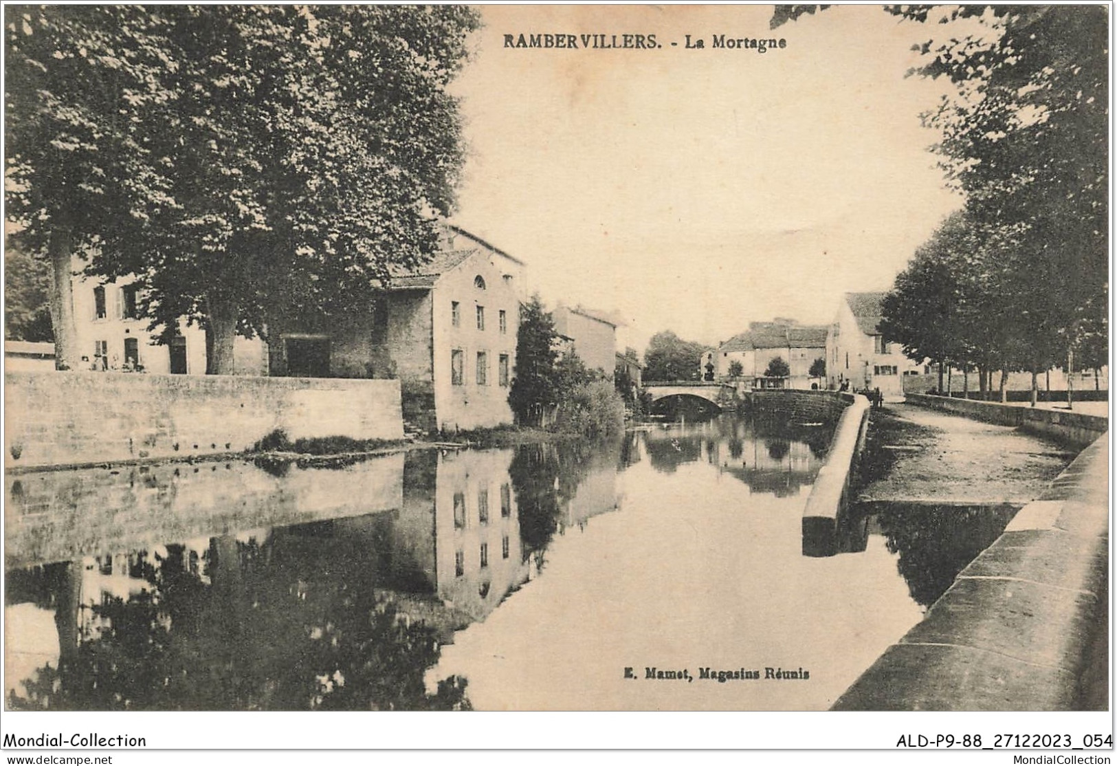 ALDP9-88-0828 - RAMBERVILLERS - La Mortagne - Rambervillers