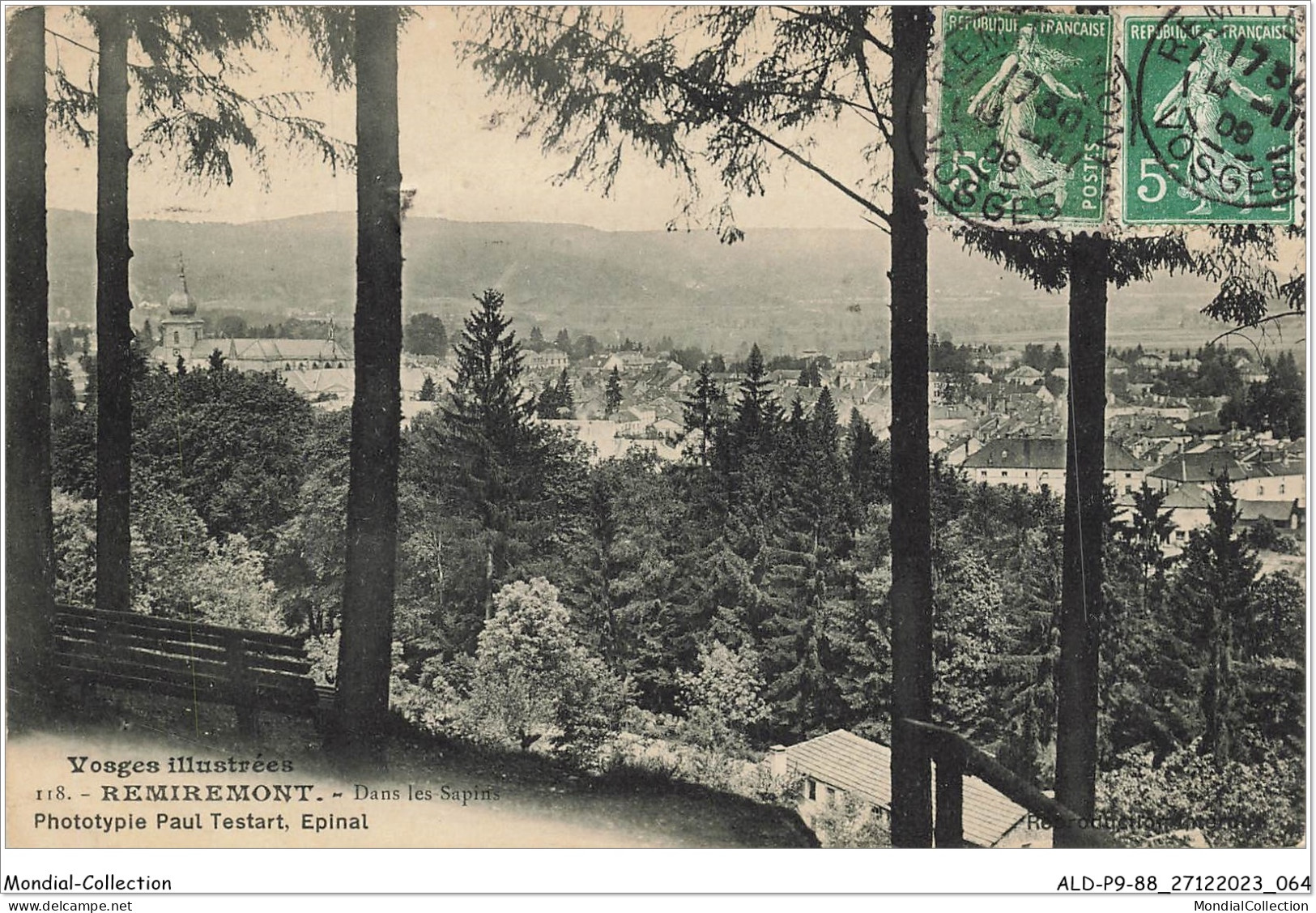 ALDP9-88-0833 - REMIREMONT - Dans Les Sapins - Remiremont