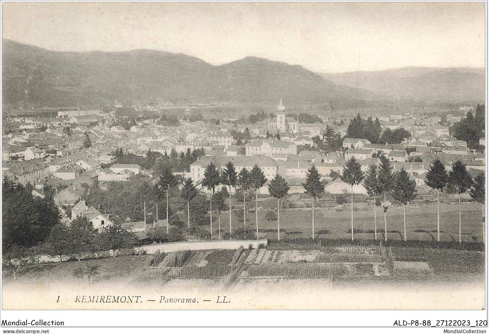 ALDP8-88-0761 - REMIREMONT - Panorama - Remiremont