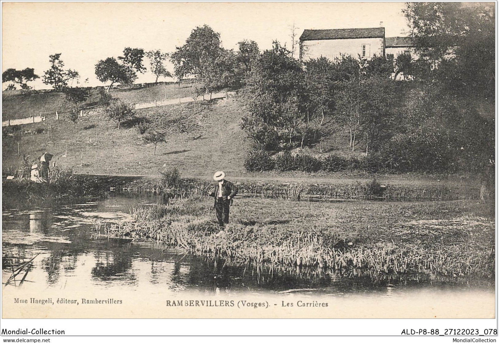 ALDP8-88-0740 - RAMBERVILLERS - Les Carrières - Rambervillers