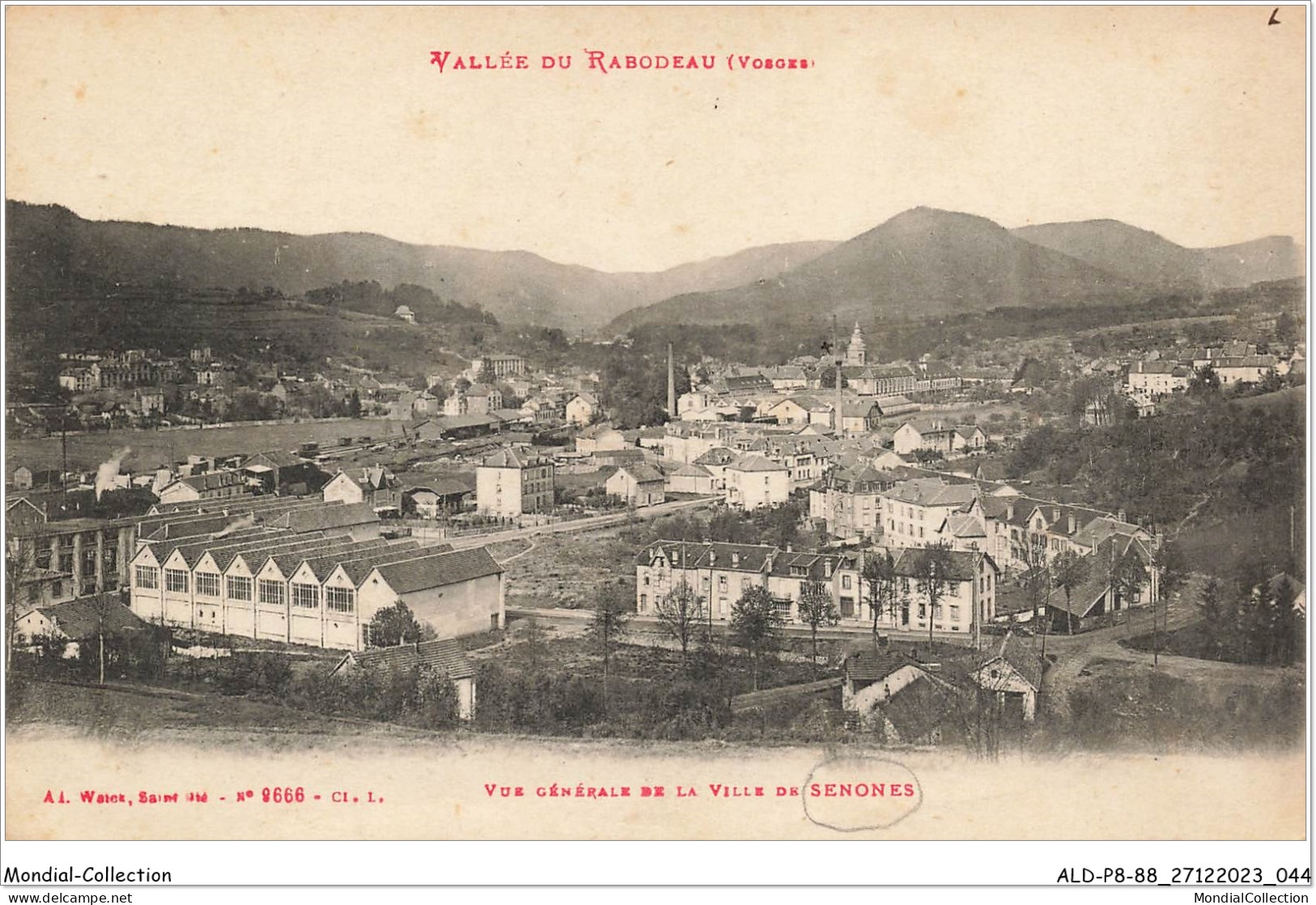 ALDP8-88-0723 - SENONES - Vallée Du Rabodeau - Vue Générale De La Ville De Senones - Senones