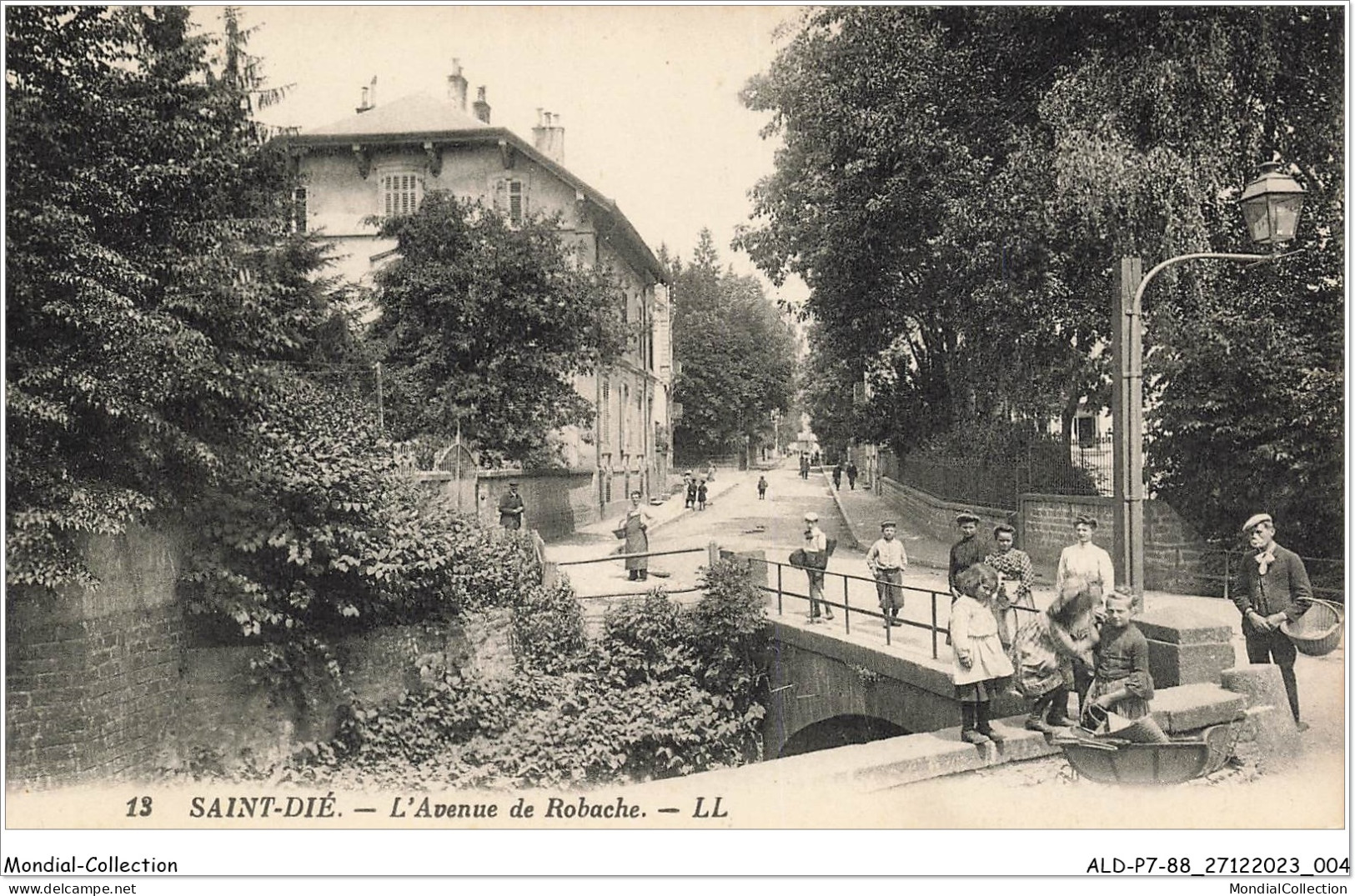 ALDP7-88-0603 - SAINT-DIE - L'avenue De Robache - Saint Die