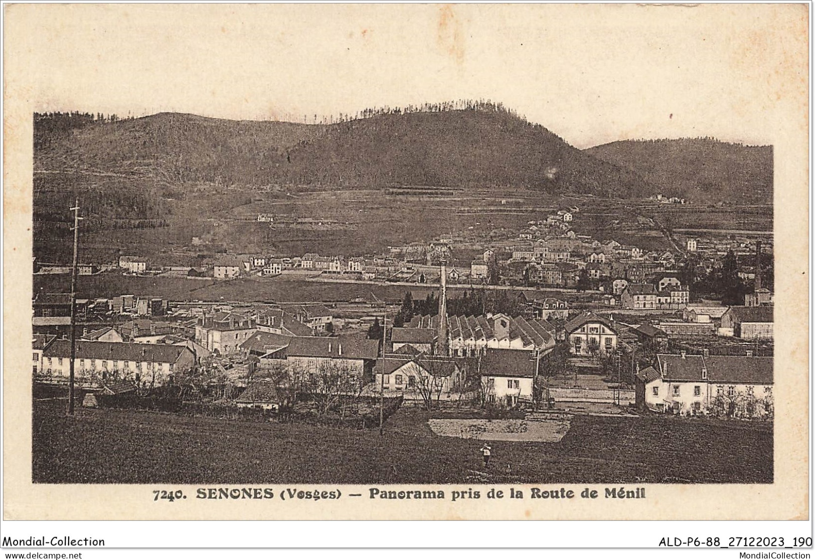 ALDP6-88-0596 - SENONES - Panorama Pris De La Route Du Ménil - Senones