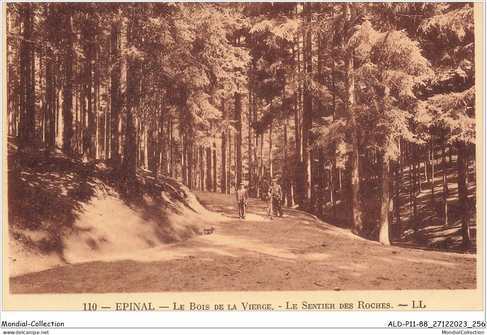 ALDP11-88-1129 - EPINAL - Le Bois De La Vierge - Le Sentier Des Roches - Epinal