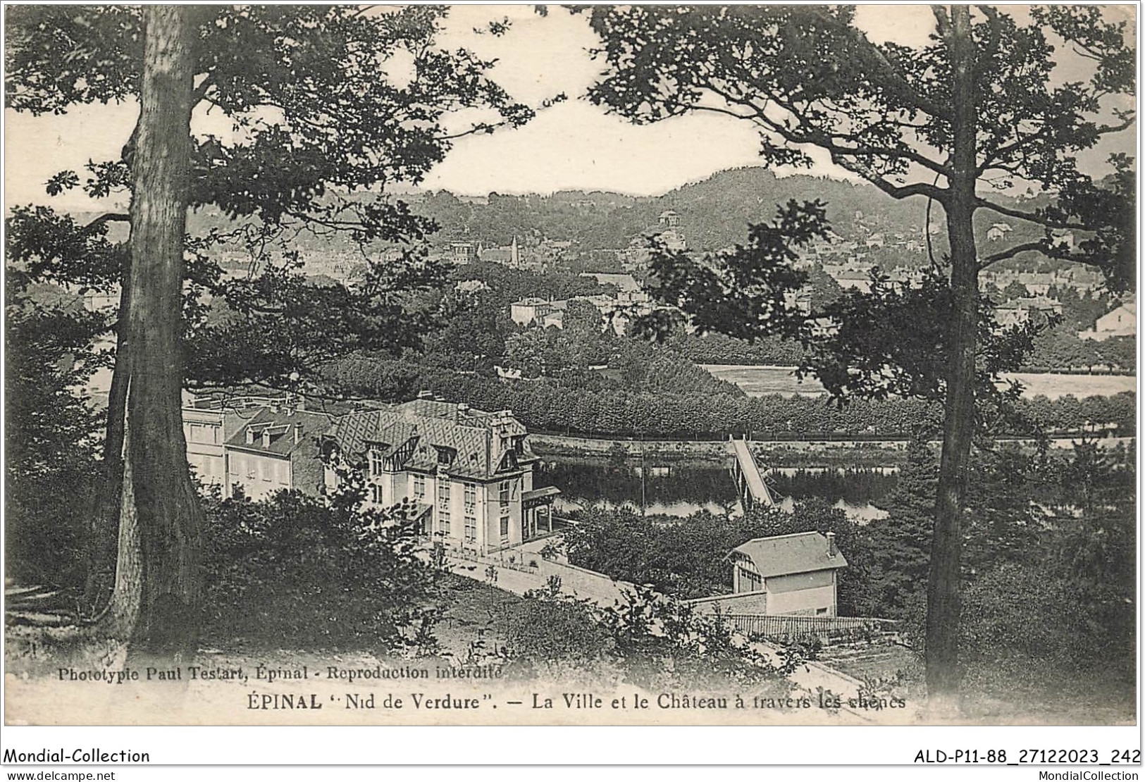 ALDP11-88-1122 - EPINAL Nid De Verdure - La Ville Et Le Château à Travers Les Chênes - Epinal