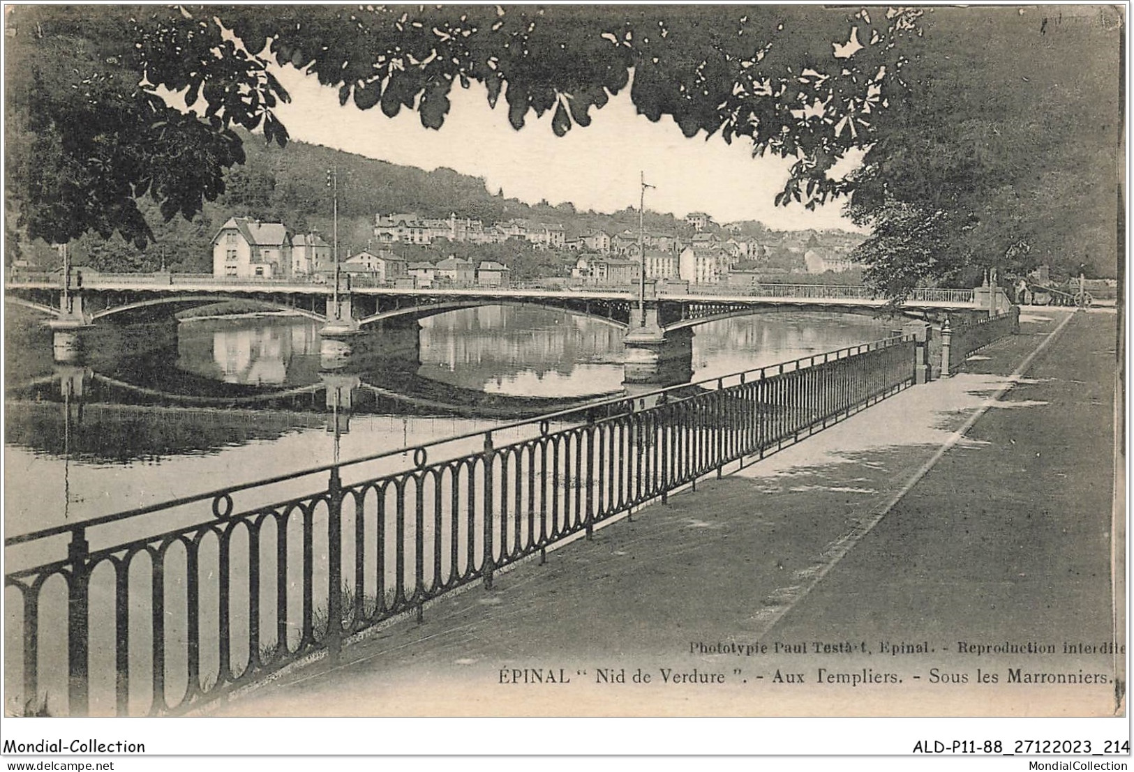 ALDP11-88-1108 - EPINAL Nid De Verdure - Aux Templiers - Sous Les Marronniers - Epinal