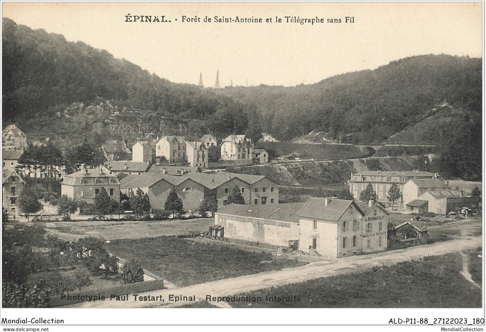 ALDP11-88-1091 - EPINAL - Forêt De Saint-antoine Et Le Télégraphe Sans Fil - Epinal