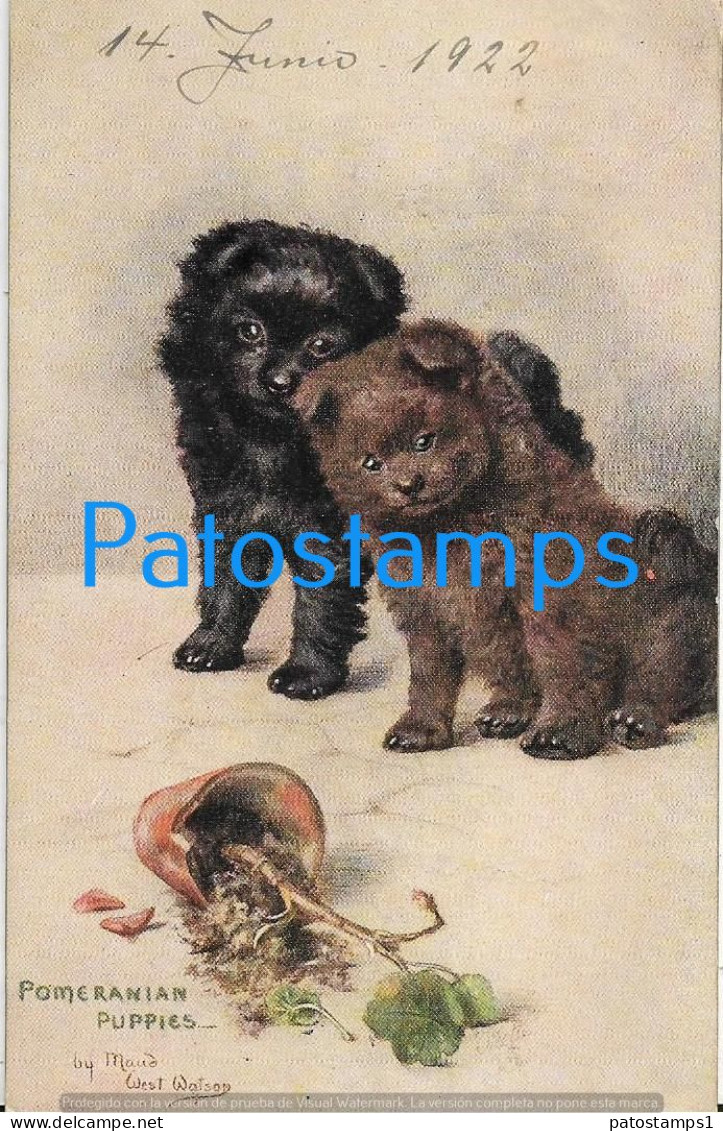 228757 ART ARTE SIGNED MAUD WEST WATSON COUPLE DOG LOOKING AT THE BROKEN POT POSTAL POSTCARD - Other & Unclassified