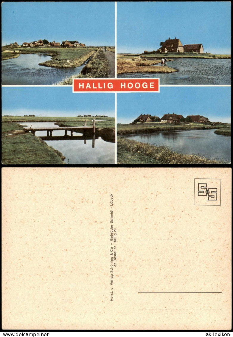 Ansichtskarte Hallig Hooge 4 Bild Brücke, Häuser 1981 - Other & Unclassified
