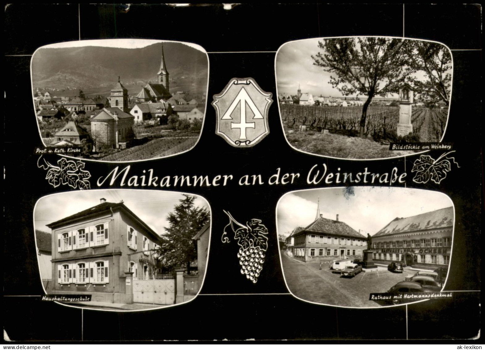 Ansichtskarte Maikammer Stadt, Weinberg, Schule 1967 - Other & Unclassified