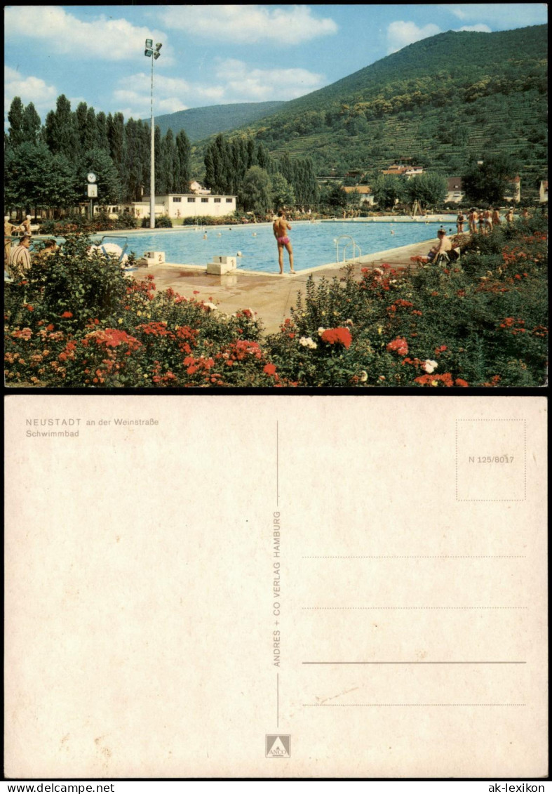 Neustadt An Der Weinstraße Neustadt An Der Haardt Schwimmbad-Stadion 1972 - Neustadt (Weinstr.)