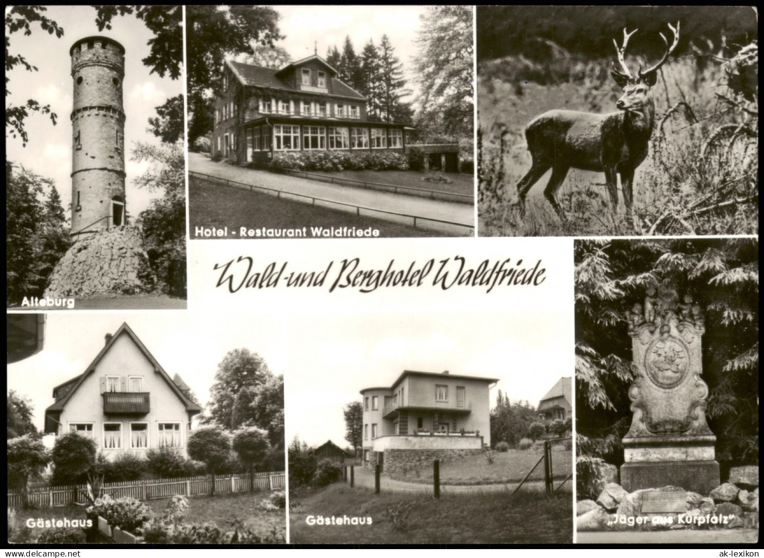 Waldfriede (Soonwald) Mehrbildkarte Soonwald Wald-und Berghotel Waldfriede 1967 - Sonstige & Ohne Zuordnung