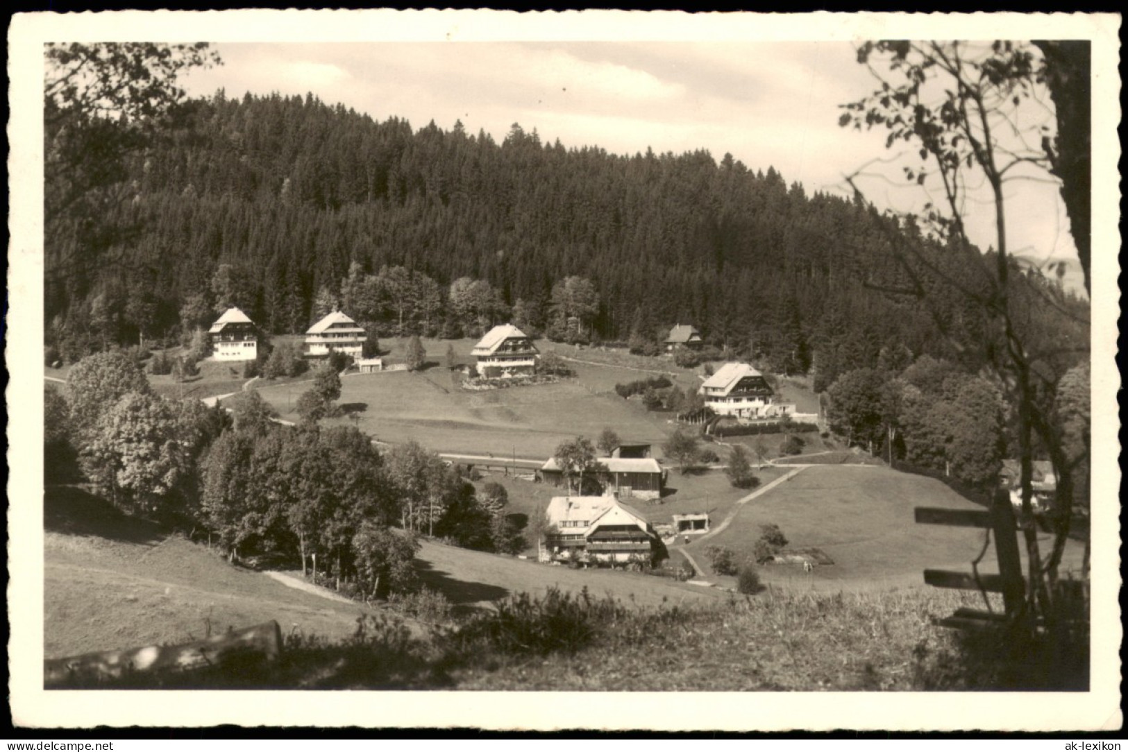 Ansichtskarte Hinterzarten Panorama-Ansicht; Ort Im Schwarzwald 1960 - Hinterzarten