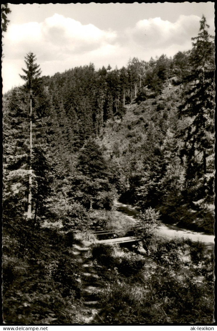 Wirsberg (Oberfranken) Umland-Ansicht Romantik Im Schorgasttal 1969 - Andere & Zonder Classificatie