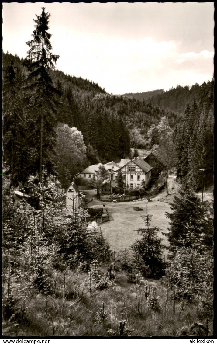 Ansichtskarte .Bayern Sommerfrische Bischofsmühle Im Frankenwald 1960 - Other & Unclassified