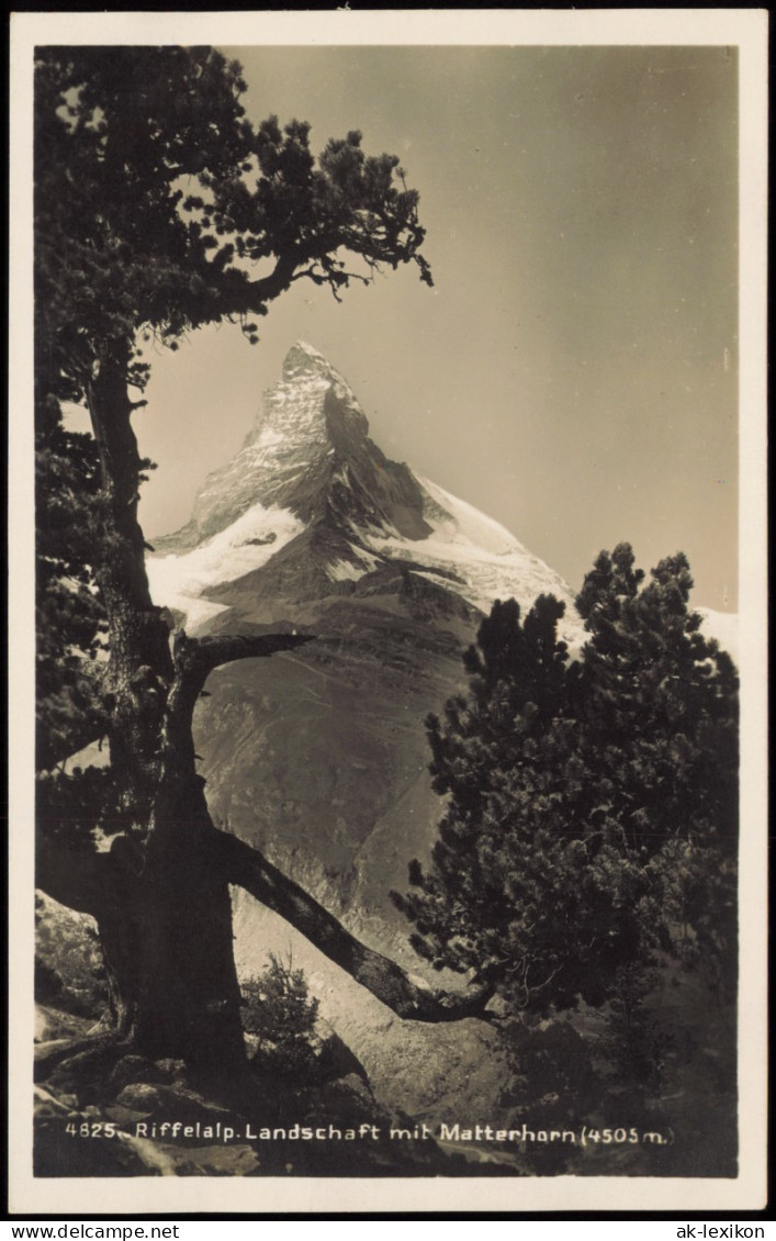 Ansichtskarte Zermatt Riffelalp. Landschaft Mit Matterhorn 4505 M. 1931 - Sonstige & Ohne Zuordnung