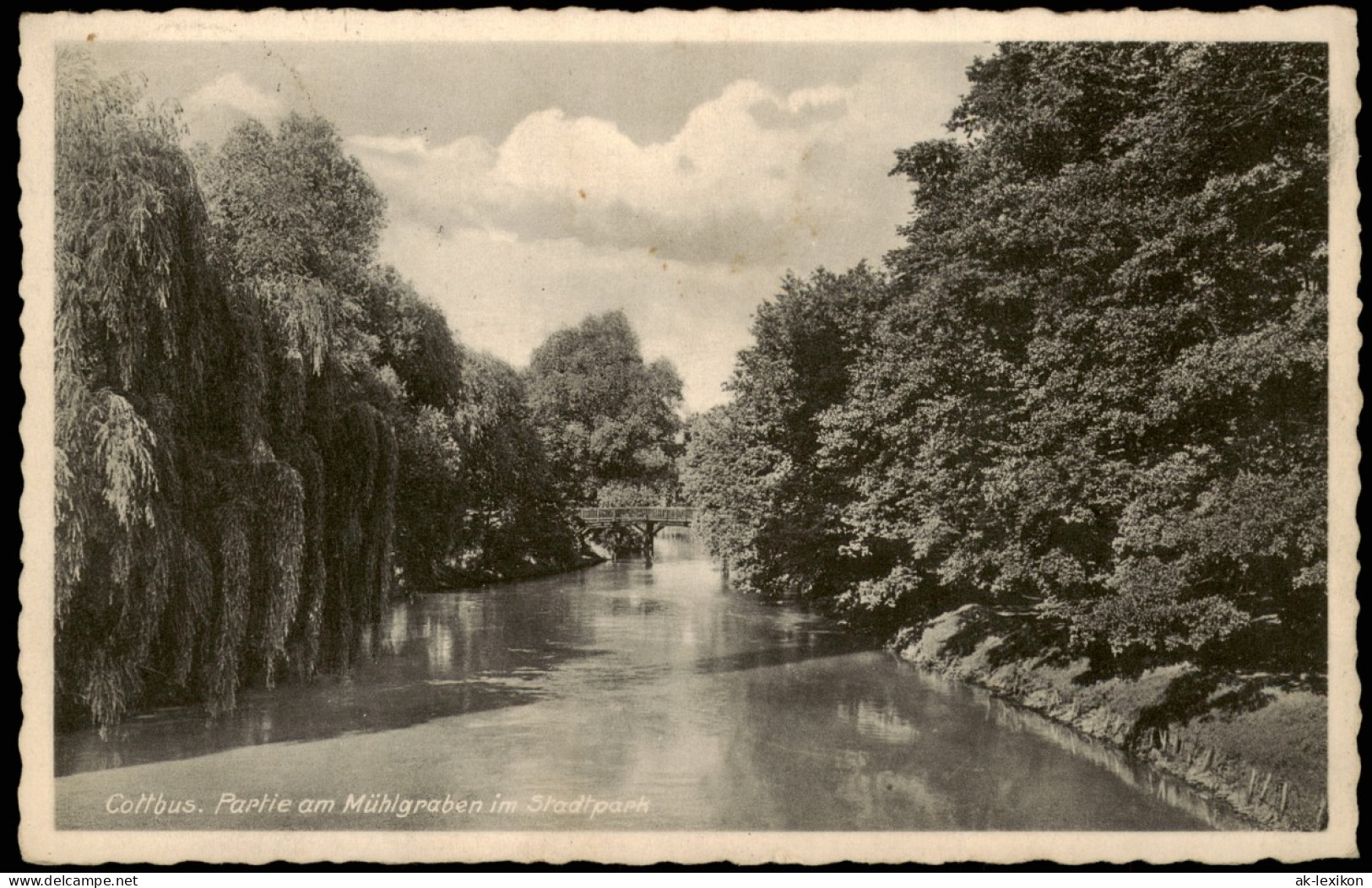 Ansichtskarte Cottbus Partie Am Mühlgraben Im Stadtpark 1938 - Cottbus