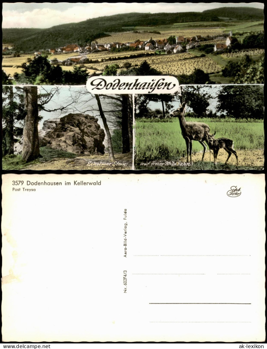 Ansichtskarte Dodenhausen Mehrbild-AK Mit 3 Ortsansichten 1960 - Other & Unclassified