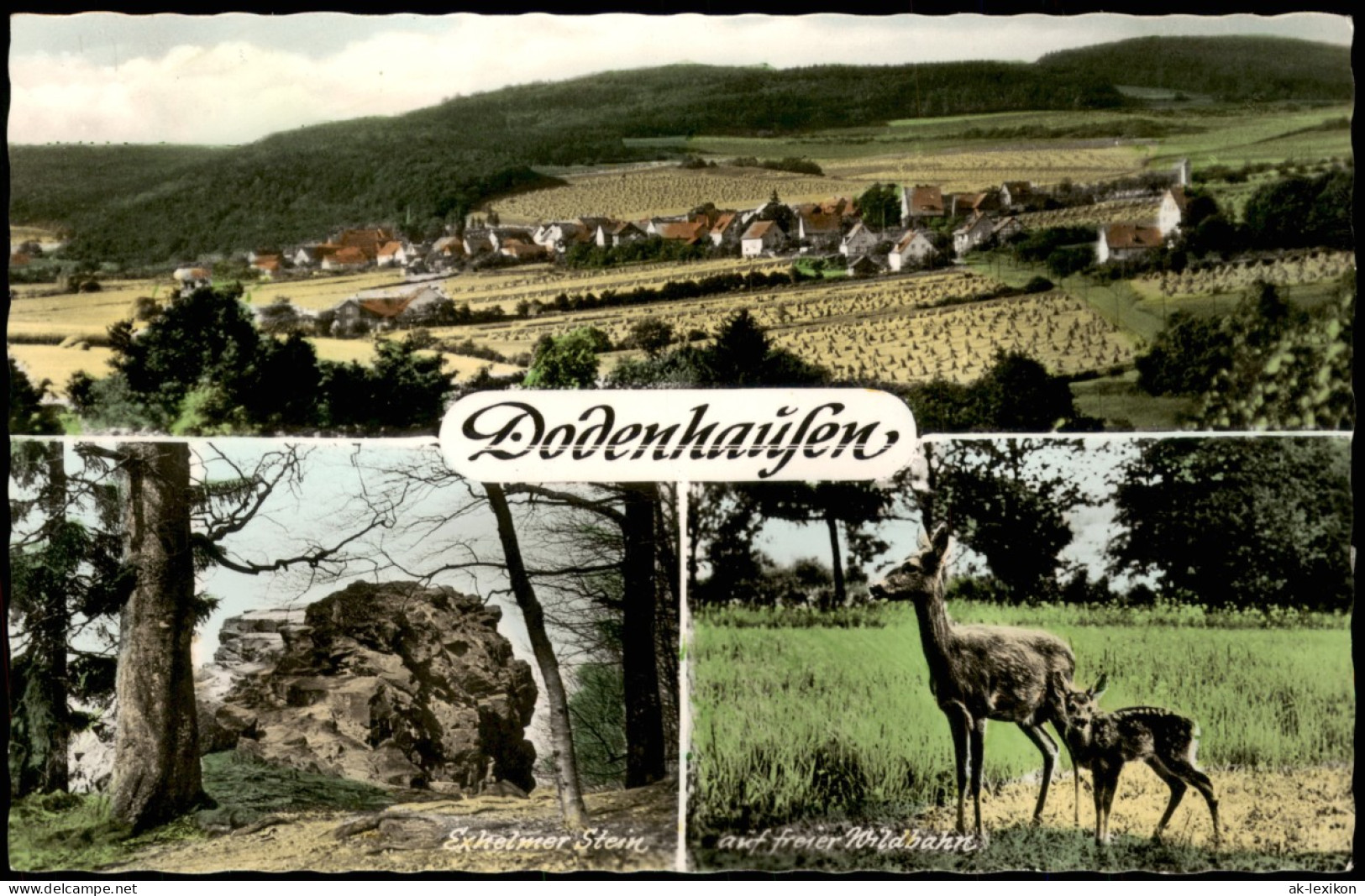 Ansichtskarte Dodenhausen Mehrbild-AK Mit 3 Ortsansichten 1960 - Other & Unclassified