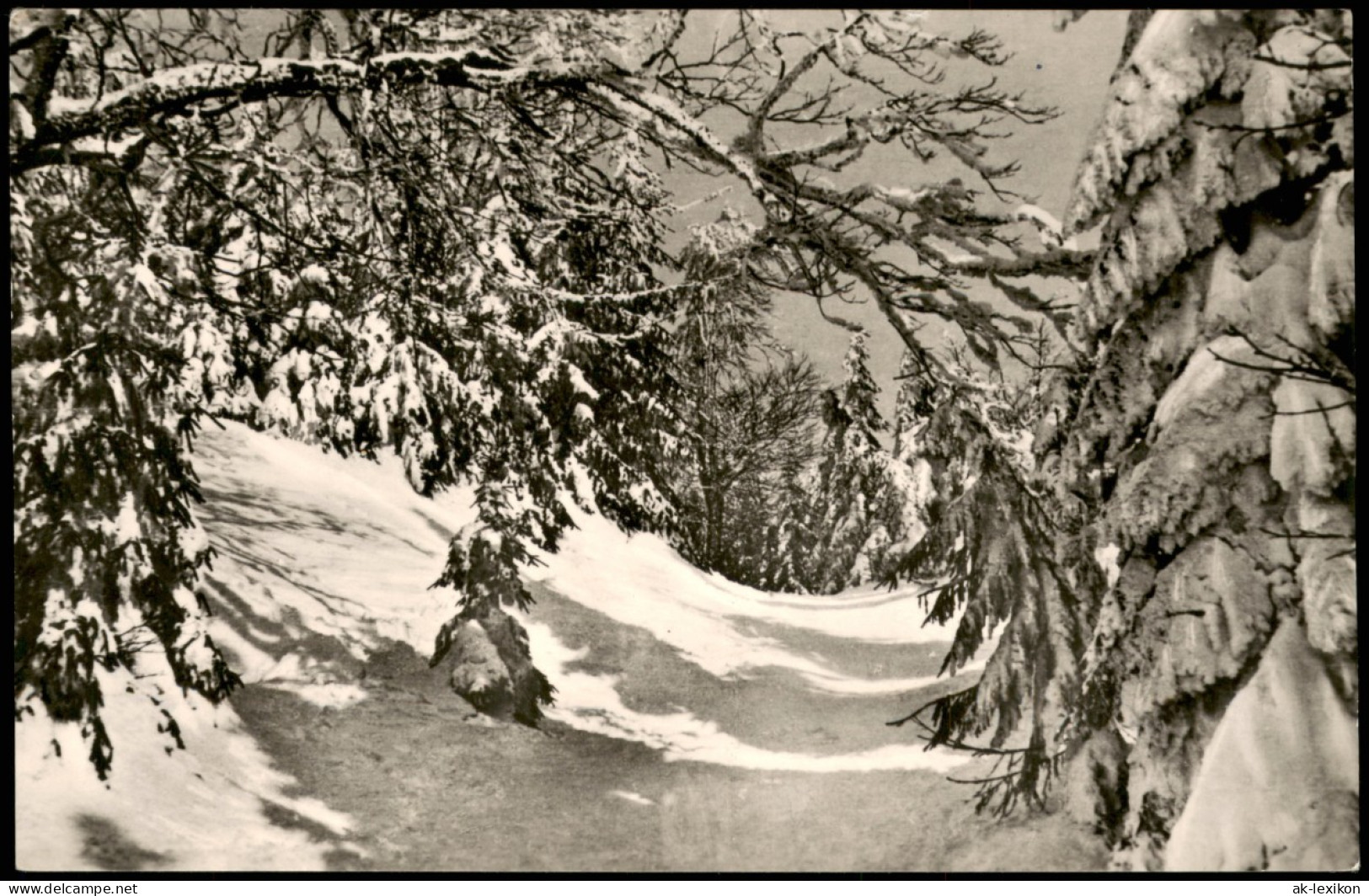 Ansichtskarte Bischofsgrüner Forst Ochsenkopf (Fichtelgebirge) Im Winter 1964 - Autres & Non Classés